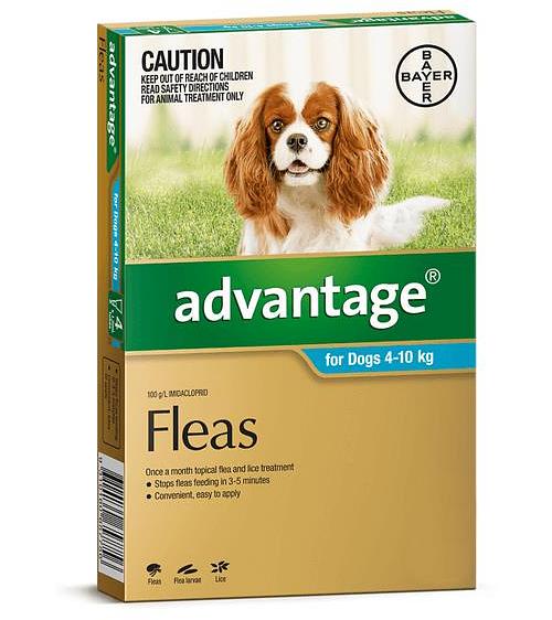 Advantage Dog Medium Aqua 12 Pack