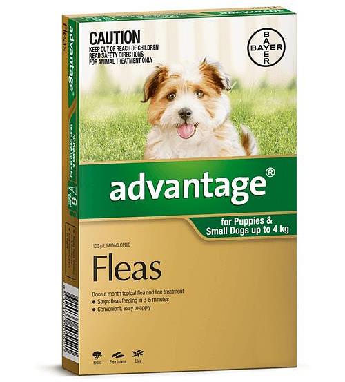 Advantage Dog Small Green 6 Pack