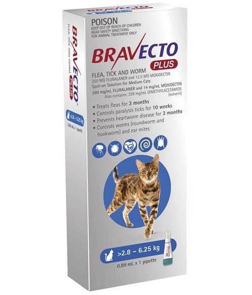 Bravecto Plus For Medium Cats Protection 1 Pack