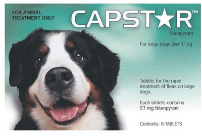 Capstar Green Medium And Large 6 Pack