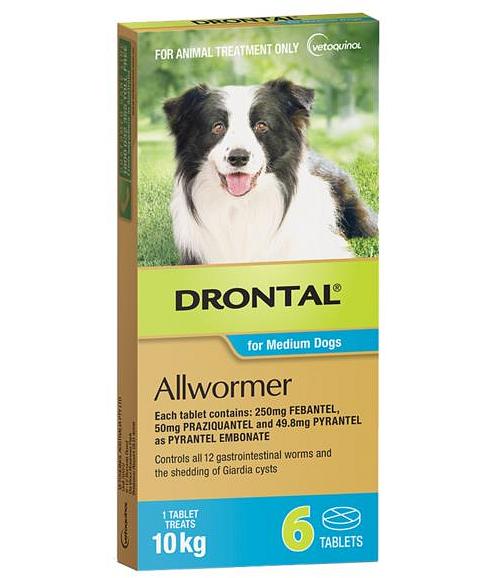 Drontal Dog Allwormer Tablet 10kg 6 Tablets