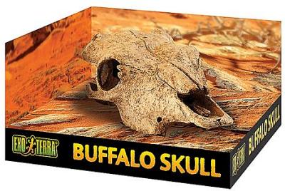 Exo Terra Buffalo Skull Each