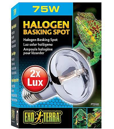 Exo Terra Halogen Basking Spot Lamp 75w