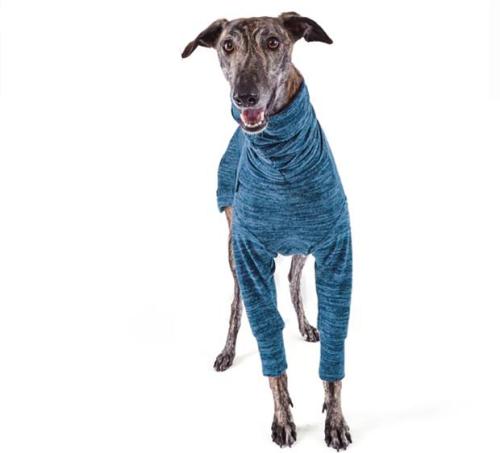 Kazoo Jumper Greyhound Softie Blue