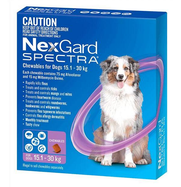 Nexgard Spectra Large Dog 12 Pack