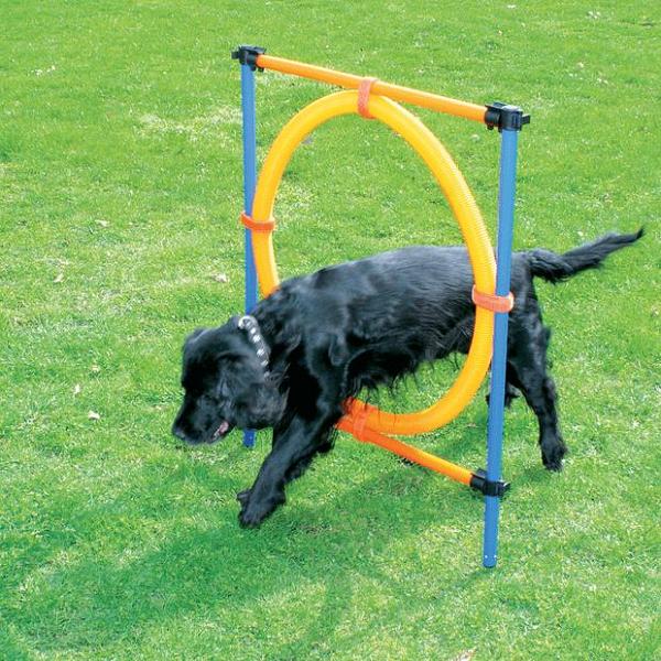 Pawise Agility Ring Each