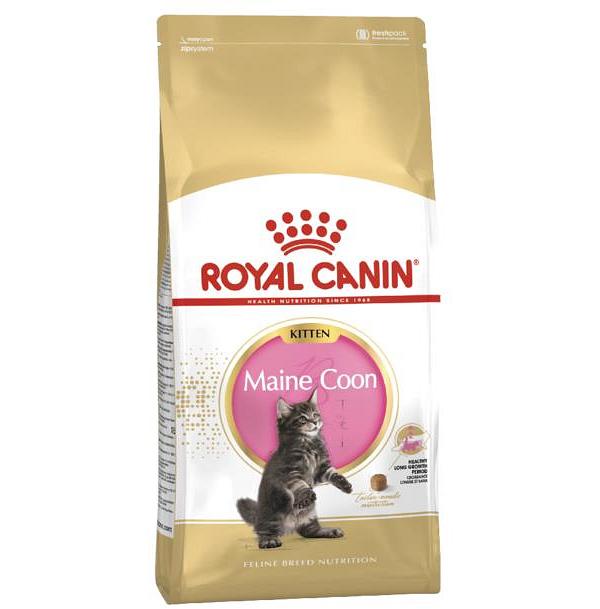 Royal Canin Maine Coon Kitten Dry Cat Food 10kg