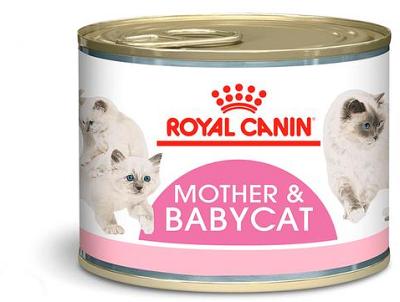 Royal Canin Mother And Baby Stage 2 Wet Cat Food Trays 24 X 100g
