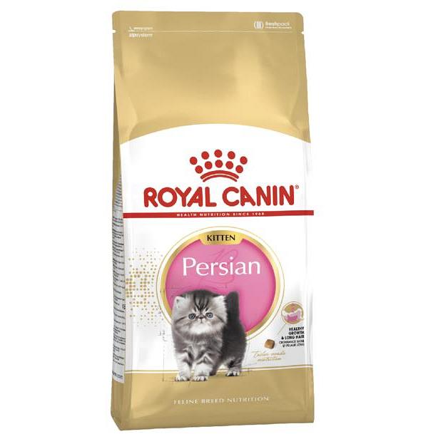 Royal Canin Persian Kitten Dry Cat Food 10kg