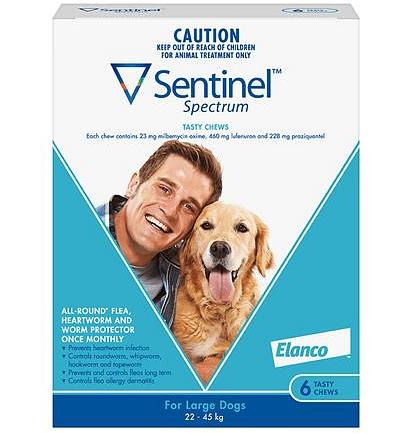 Sentinel Spectrum Chews Large Blue 6 Pack