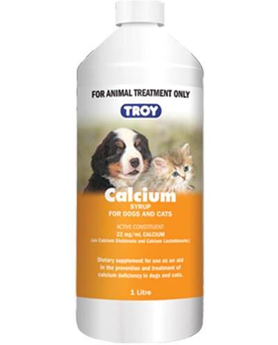 Troy Calcium Syrup 1L