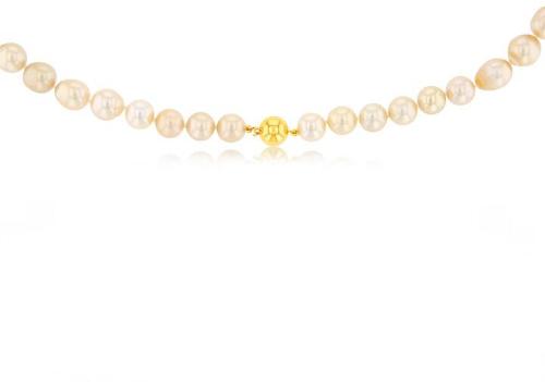 Golden South Sea 10mm Pearl Strand with 9ct Yellow Gold Clasp