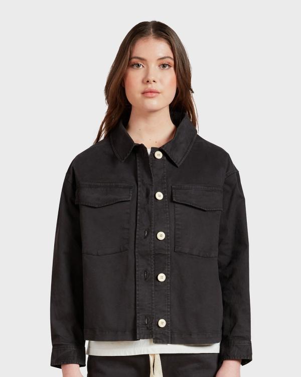 Academy Brand - Standard Jacket - Coats & Jackets (BLACK) Standard Jacket