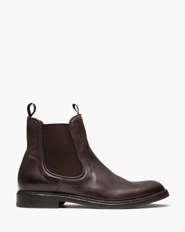 Aquila - D'ORO Collection   Wells Chelsea Boots - Boots (Brown) D'ORO Collection - Wells Chelsea Boots