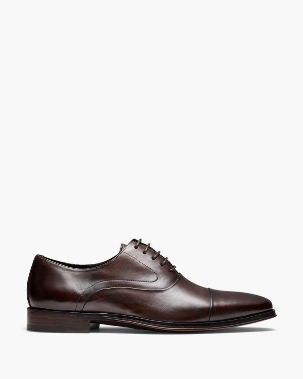 Aquila - Palmer Oxford Shoes - Dress Shoes (Brown) Palmer Oxford Shoes