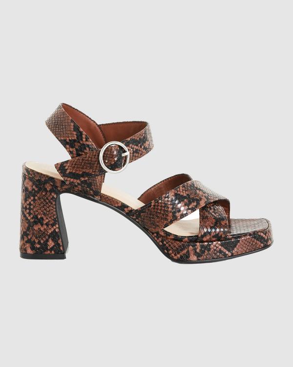 City Chic - WIDE FIT Josie Platform - Heels (Brown) WIDE FIT Josie Platform