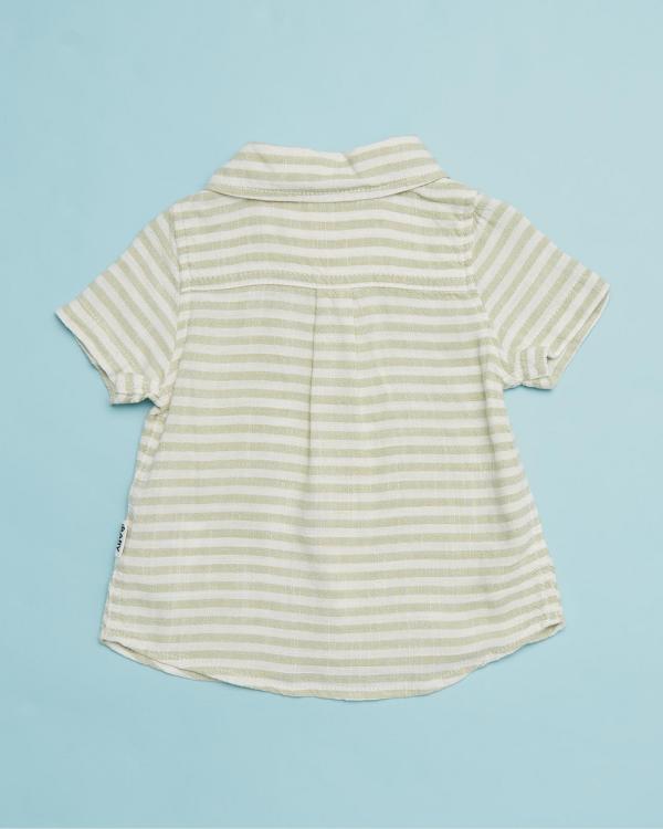 Cotton On Baby - Leonard Shirt And Walter Shorts Bundle   Babies - 2 Piece (Gumnut & Vanilla Rio Stripe) Leonard Shirt And Walter Shorts Bundle - Babies
