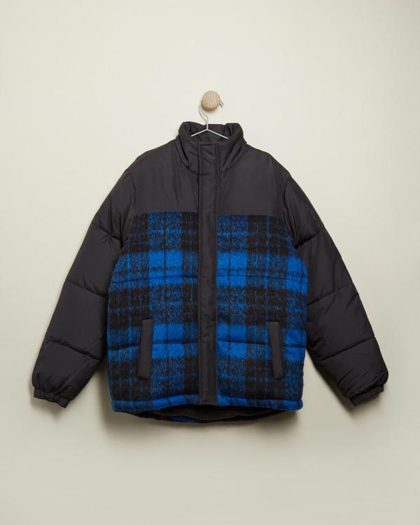 Cotton On Kids - Frederick Puffer Jacket   Teens - Coats & Jackets (Blue Punch & Check) Frederick Puffer Jacket - Teens