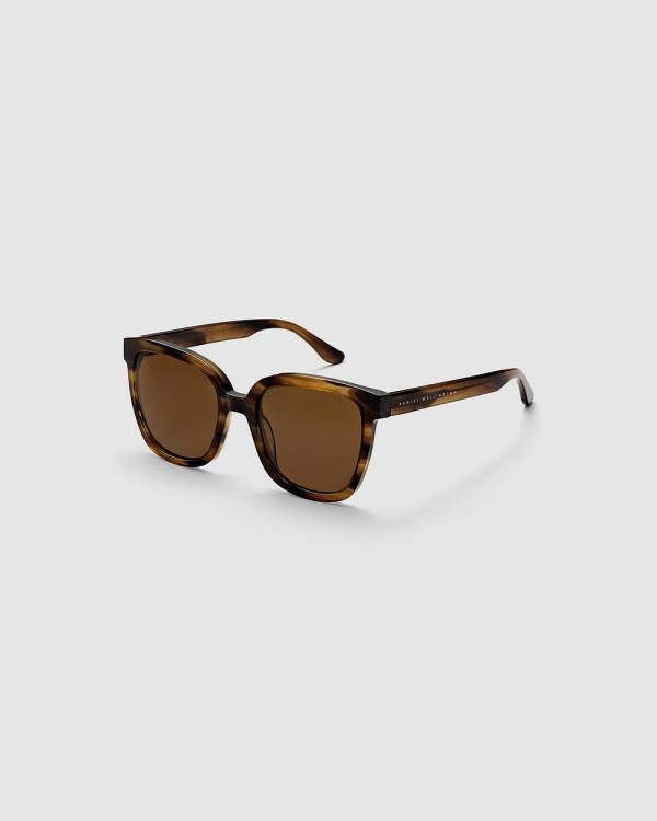 Daniel Wellington - Grande Acetate Brown Sunglasses - Square (Brown) Grande Acetate Brown Sunglasses