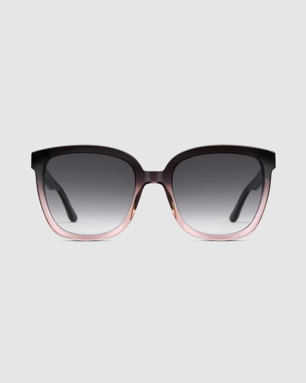 Daniel Wellington - Grande Acetate Coral Black Sunglasses - Square (Coral & Black) Grande Acetate Coral-Black Sunglasses