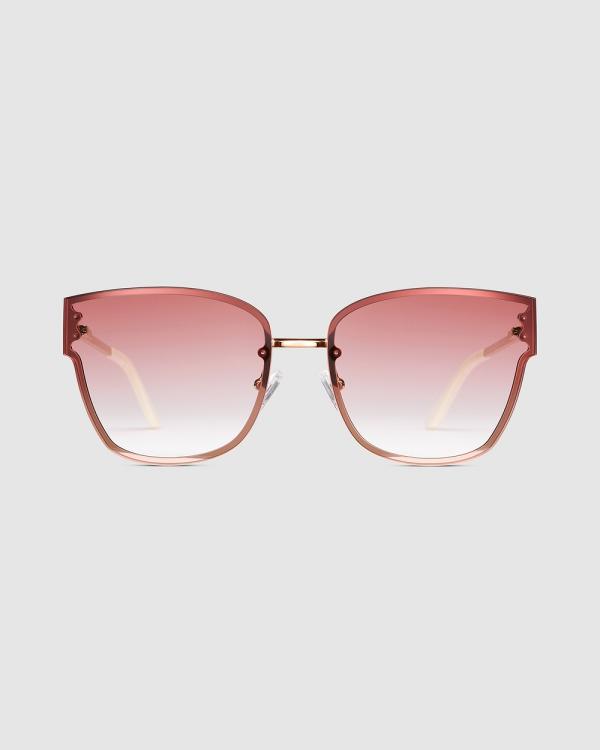 Daniel Wellington - Grande Steel Pink Sunglasses - Square (Pink/Rose Gold) Grande Steel Pink Sunglasses