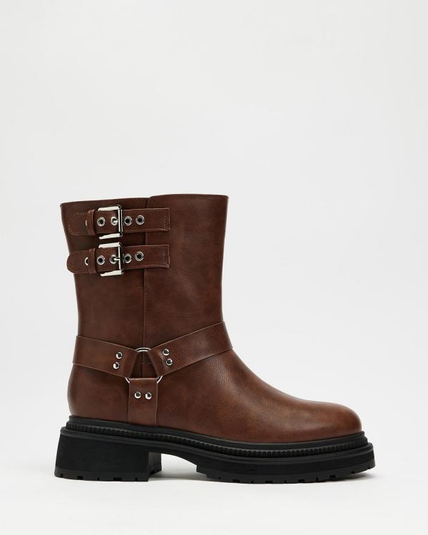 Dazie - Biker Ankle Boots - Ankle Boots (Brown) Biker Ankle Boots
