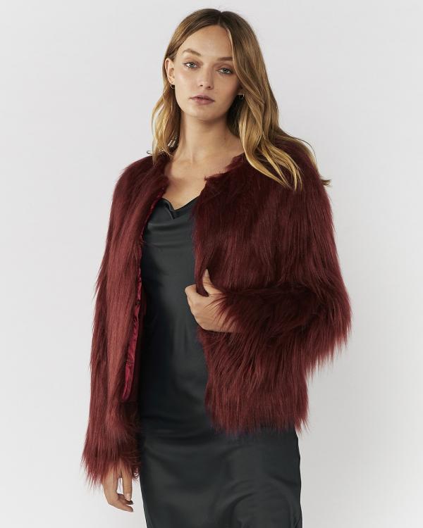 Everly Collective - Marmont Faux Fur Jacket - Coats & Jackets (Wine) Marmont Faux Fur Jacket