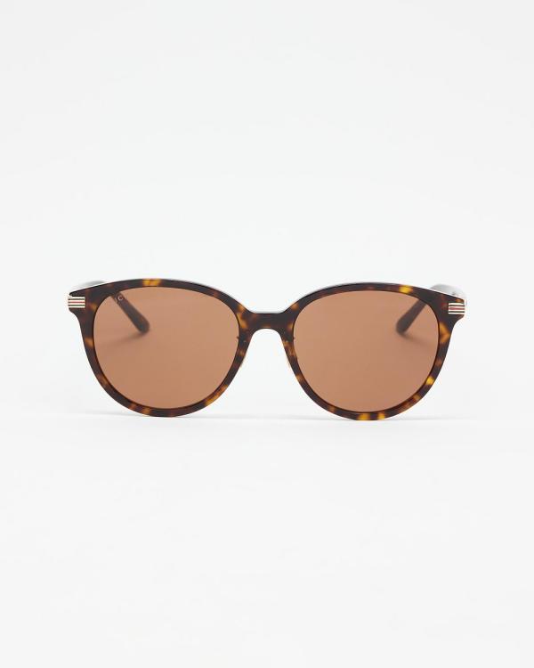 Gucci - GG1452SK002 - Sunglasses (Havana) GG1452SK002