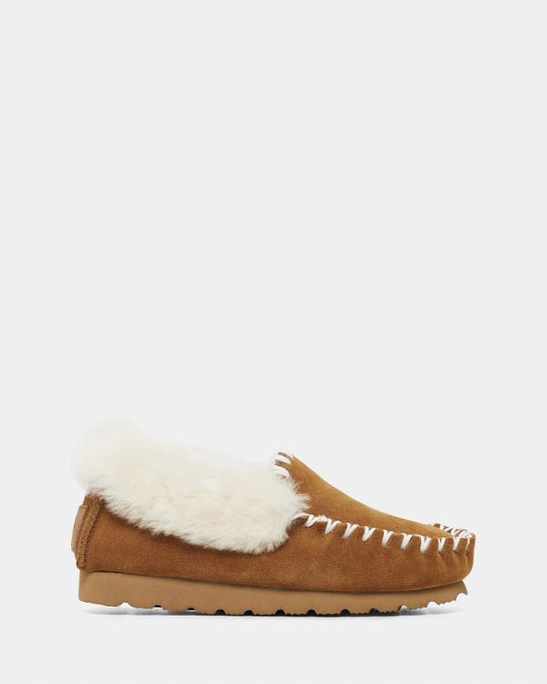 Hush Puppies - Shaggy W - Slippers & Accessories (Chestnut Suede) Shaggy W