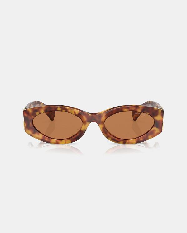 Miu Miu - 0MU 11WS - Sunglasses (Havana) 0MU 11WS