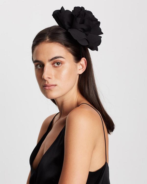 fascinators afterpay