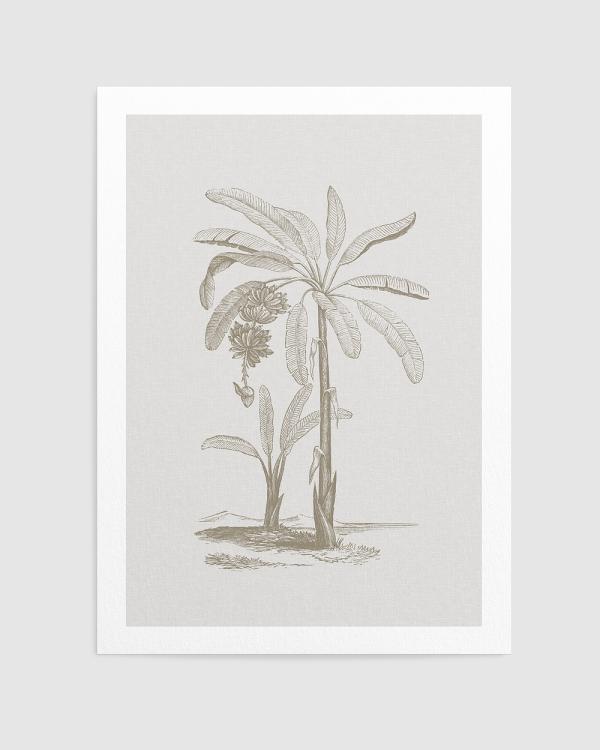 Olive et Oriel - Vintage Palm I Art Print - Home (Vintage Palm I Art Print) Vintage Palm I Art Print