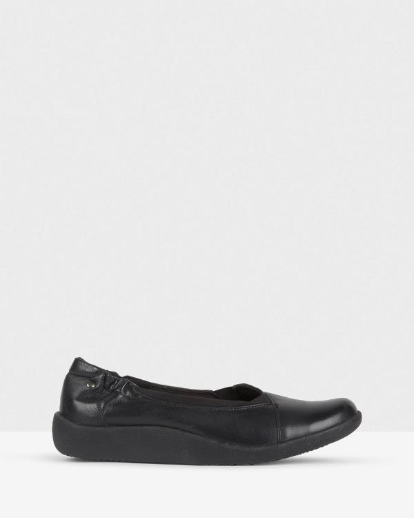 Planet Shoes - Getty Comfort Ballet Flat - Ballet Flats (Black) Getty Comfort Ballet Flat