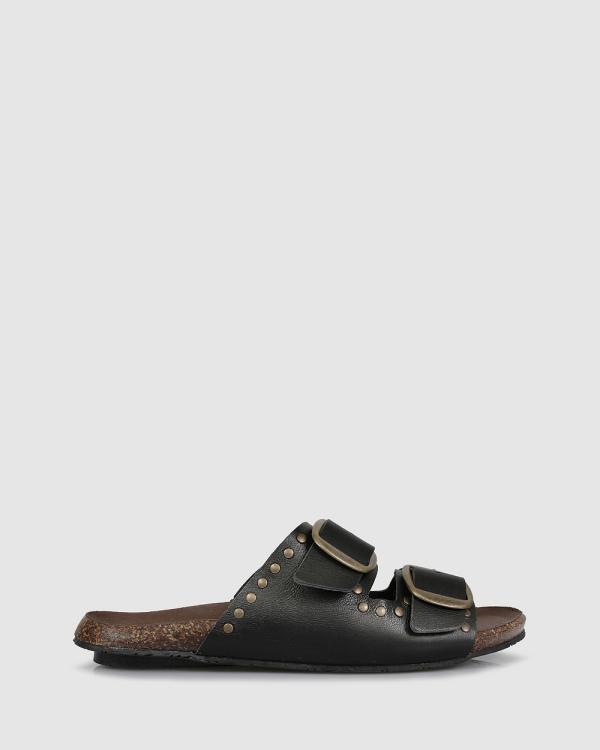 Sempre Di - Coralee Slides - Casual Shoes (BLACK-900) Coralee Slides