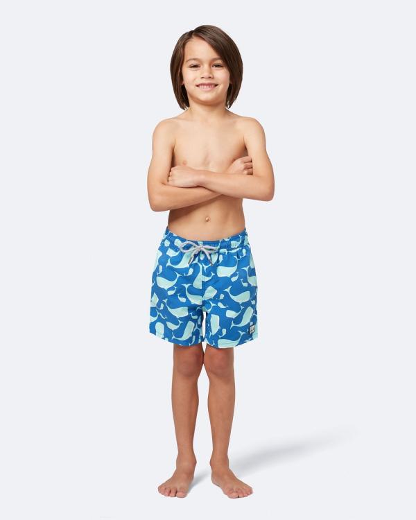 Tom & Teddy - Whale Boardshorts - Swimwear (Blue) Whale Boardshorts