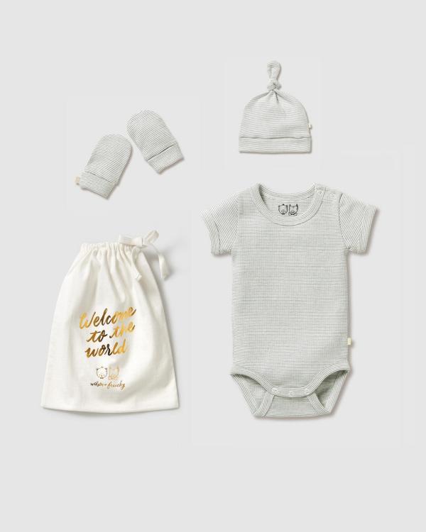Wilson & Frenchy - Essentials Pack   Babies - Bodysuits (Fern) Essentials Pack - Babies