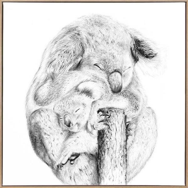 Snuggly Koalas Canvas Art Print