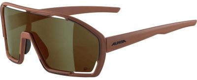 Alpina Sunglasses Bonfire Q-Lite A8686051