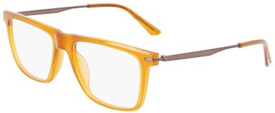 Calvin Klein Eyeglasses CK22502 729