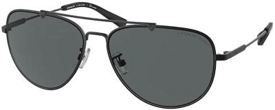 Coach Sunglasses HC7087 Polarized 900381