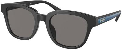 Coach Sunglasses HC8340U Polarized 500281