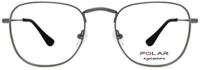 Polar Eyeglasses DETROIT 48
