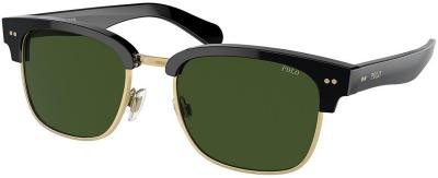 Polo Ralph Lauren Sunglasses PH4202 500171