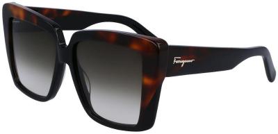 Salvatore Ferragamo Sunglasses SF 1060S 006