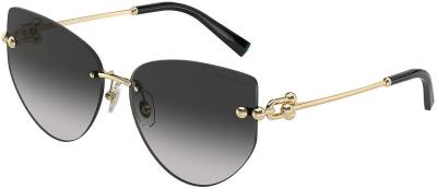 Tiffany & Co. Sunglasses TF3096 60213C