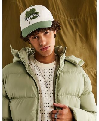 ASOS DESIGN soft cotton cap with maple leaf embroidery in ecru and washed green-Multi