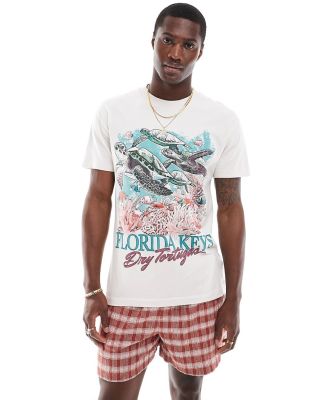 Abercrombie & Fitch Florida Keys print relaxed fit t-shirt in beige-Neutral