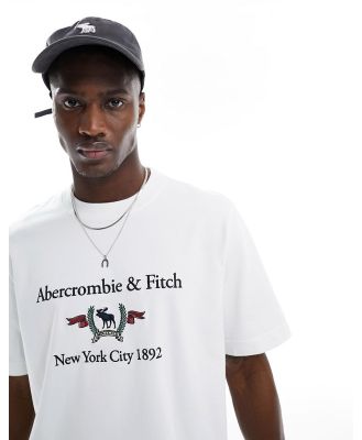 Abercrombie & Fitch heritage crest logo t-shirt in bright white