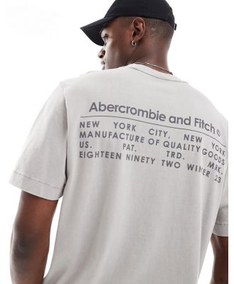 Abercrombie & Fitch vintage logo oversized fit t-shirt with back print in grey acid wash