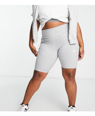 adidas Originals Plus essentials shorts in grey